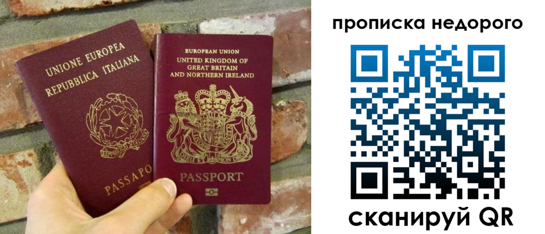 прописка поиск в Брянской области