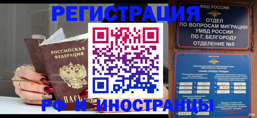 прописка в Брянской области